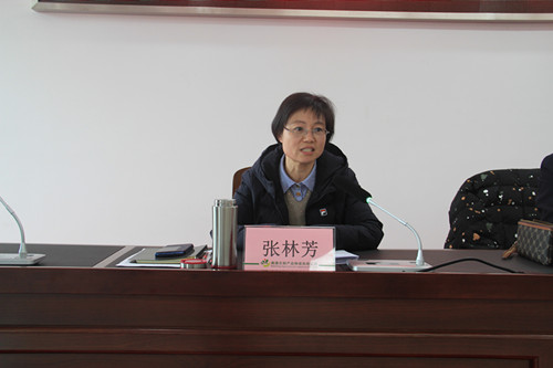 必一运动bsport体育