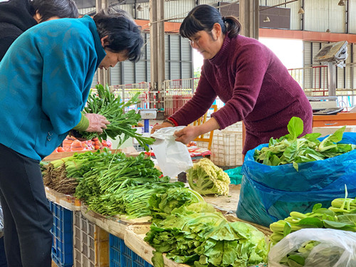 必一运动bsport体育