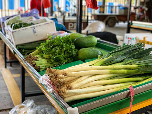 必一运动bsport体育