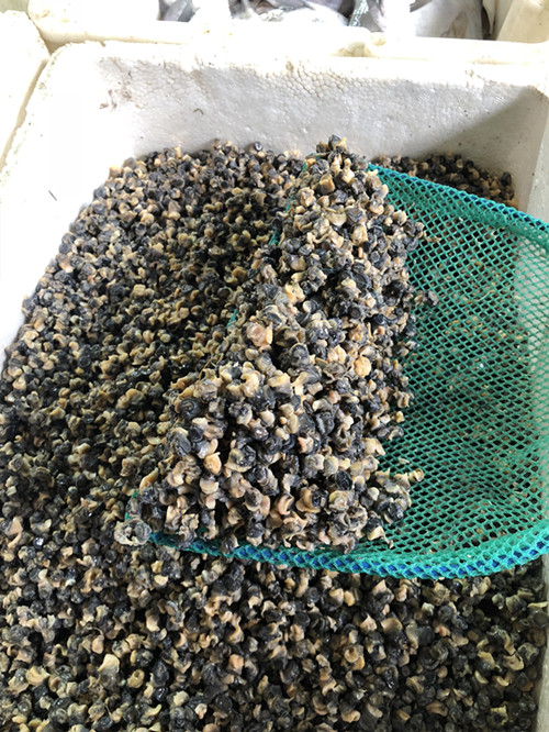 必一运动bsport体育