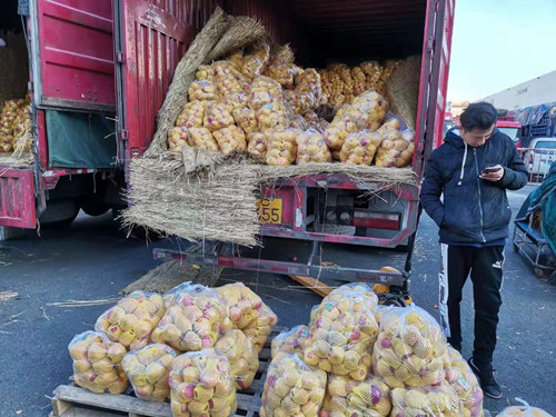 必一运动bsport体育