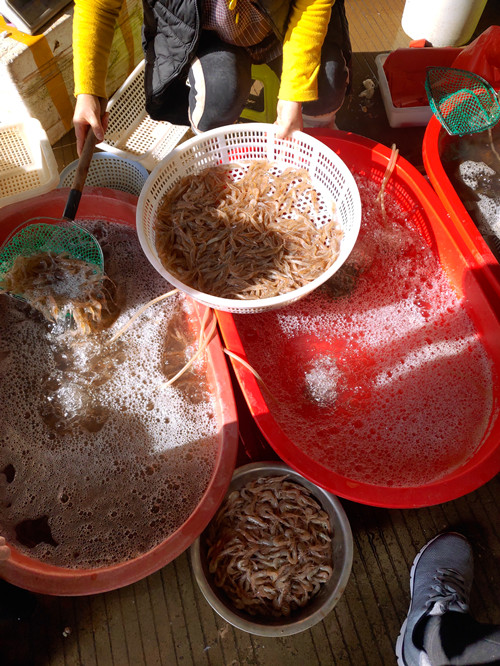 必一运动bsport体育