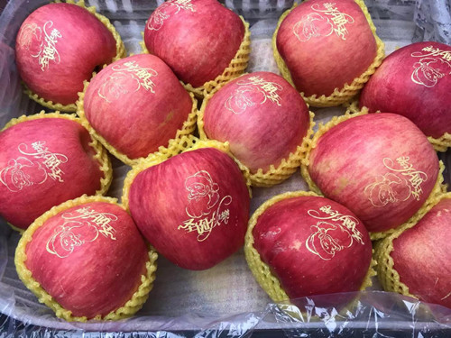 必一运动bsport体育