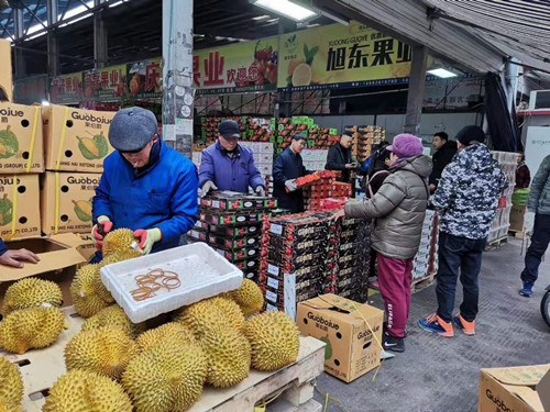 必一运动bsport体育