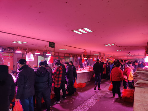 必一运动bsport体育