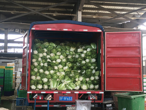 必一运动bsport体育