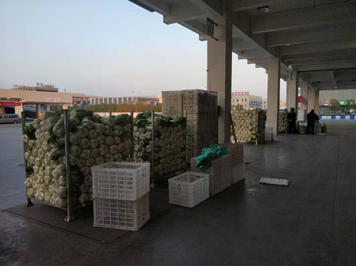 必一运动bsport体育