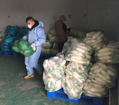 必一运动bsport体育