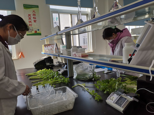 必一运动bsport体育