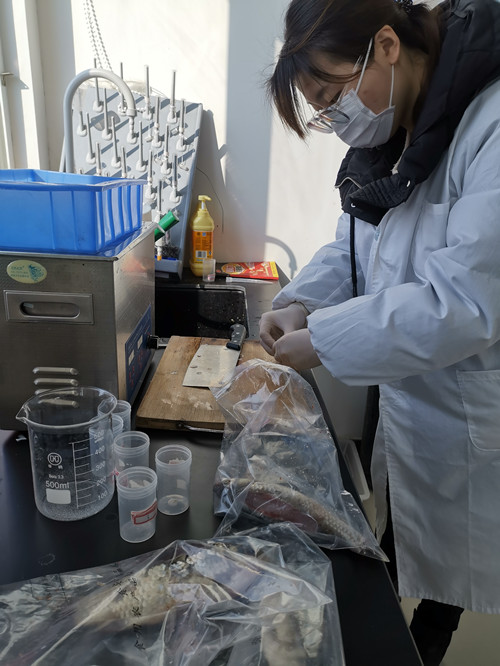 必一运动bsport体育