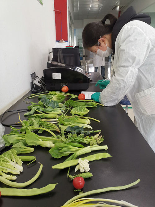 必一运动bsport体育