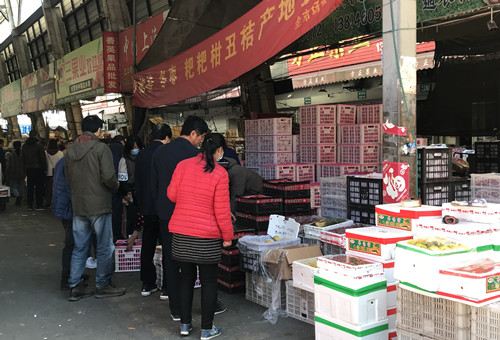 必一运动bsport体育