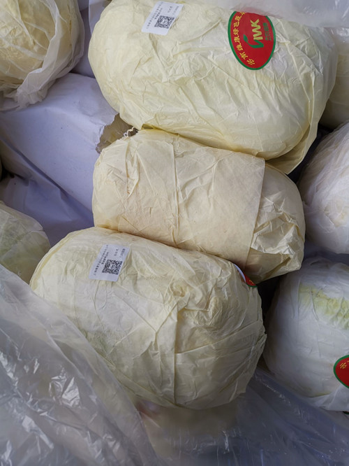 必一运动bsport体育