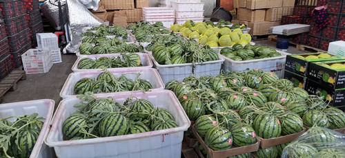 必一运动bsport体育