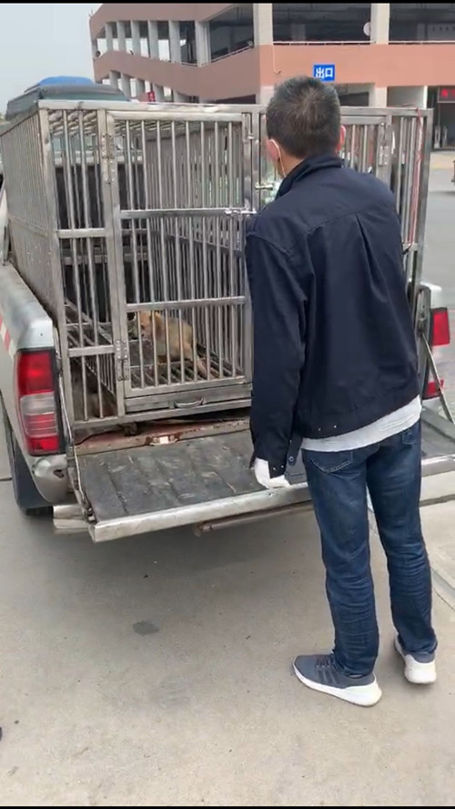 必一运动bsport体育