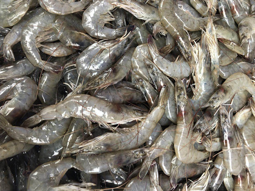 必一运动bsport体育