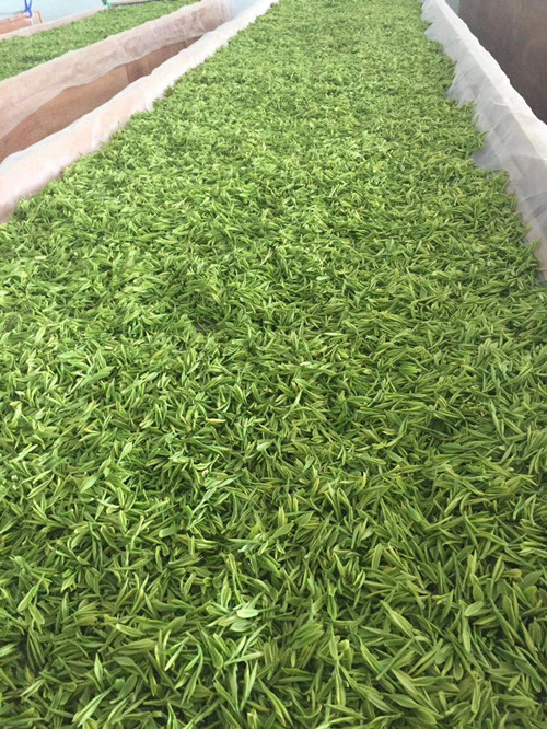 必一运动bsport体育