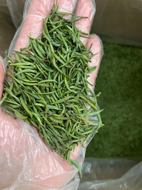 必一运动bsport体育