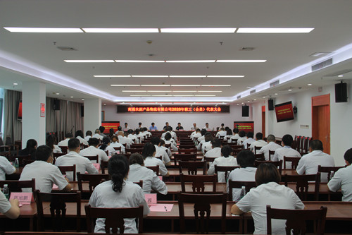 必一运动bsport体育