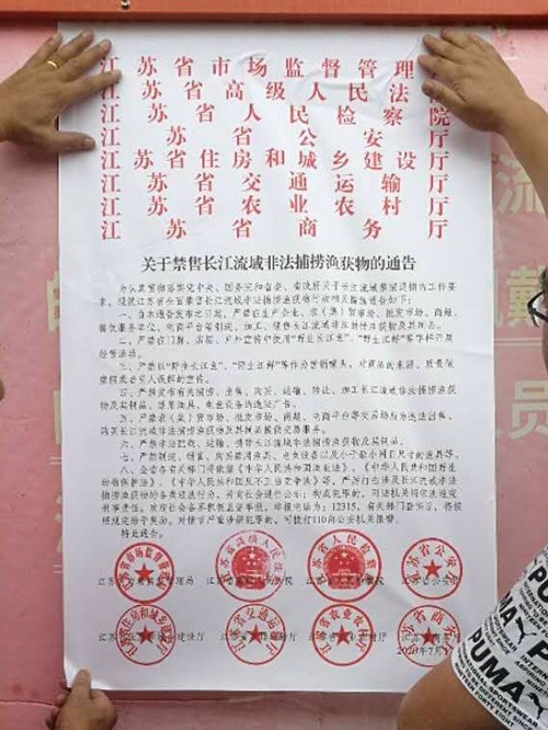 必一运动bsport体育