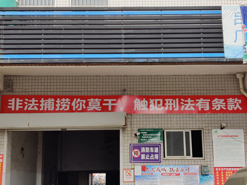 必一运动bsport体育