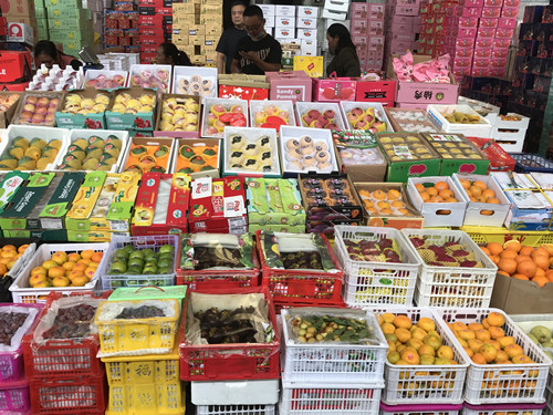 必一运动bsport体育