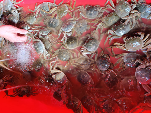 必一运动bsport体育