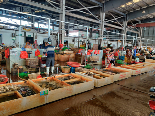 必一运动bsport体育