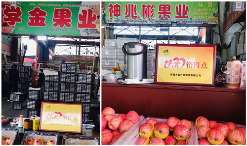 必一运动bsport体育