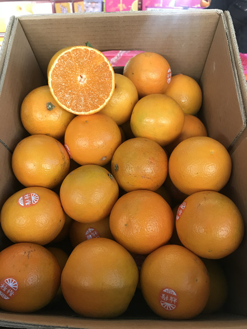 必一运动bsport体育