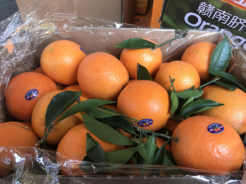 必一运动bsport体育