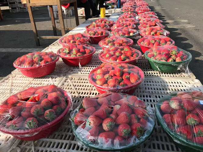 必一运动bsport体育