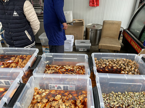 必一运动bsport体育