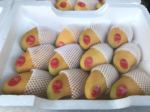 必一运动bsport体育