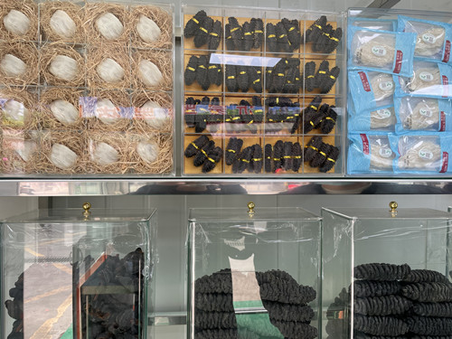 必一运动bsport体育