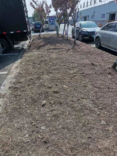 必一运动bsport体育