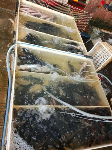 必一运动bsport体育