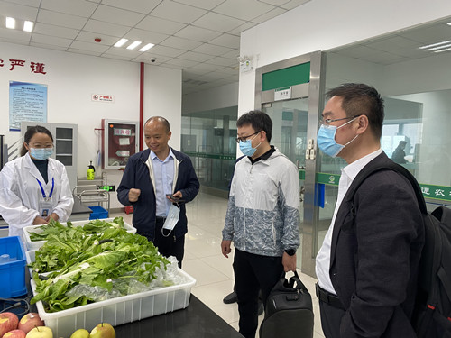 必一运动bsport体育