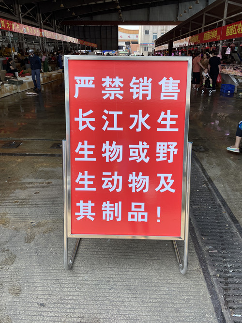 必一运动bsport体育