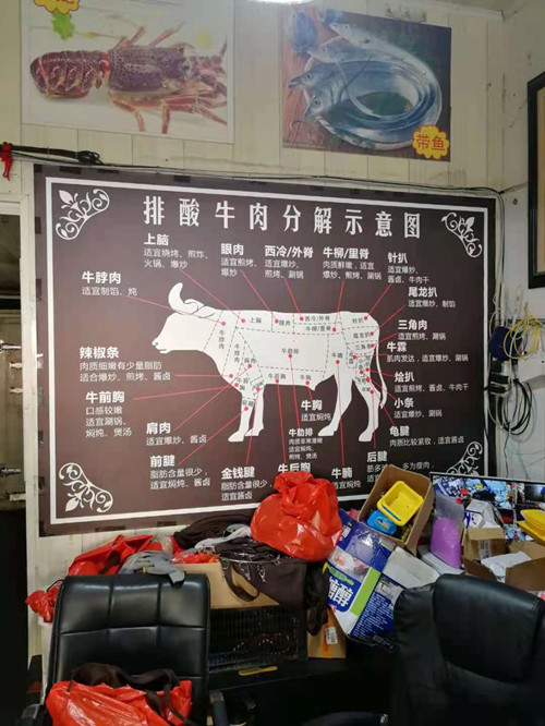 必一运动bsport体育