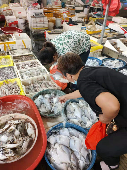 必一运动bsport体育