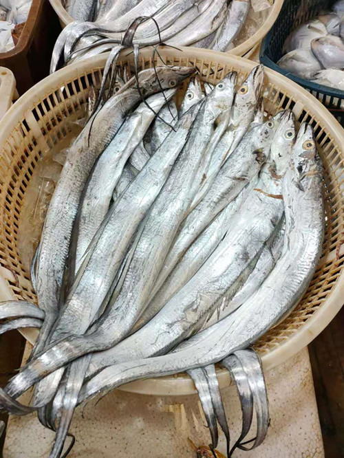 必一运动bsport体育