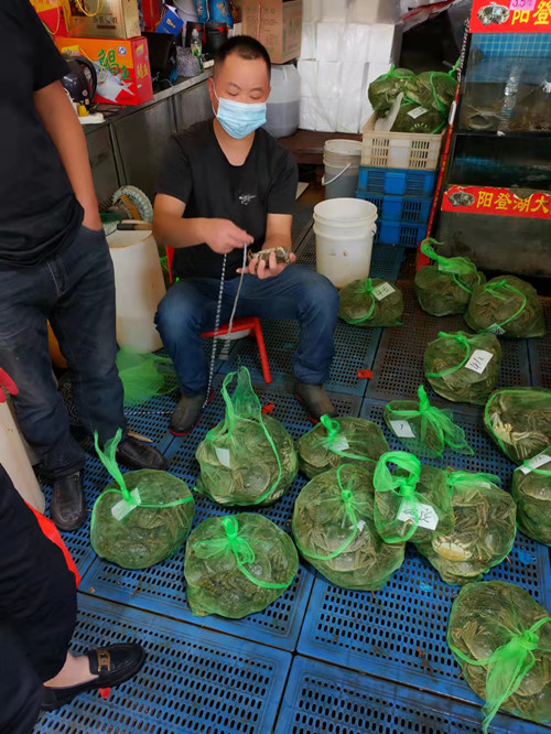 必一运动bsport体育