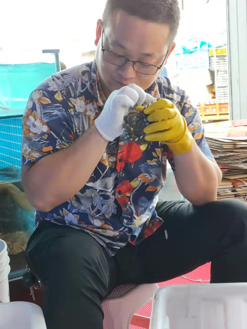 必一运动bsport体育