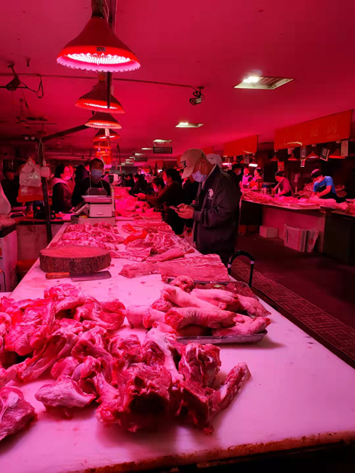 必一运动bsport体育