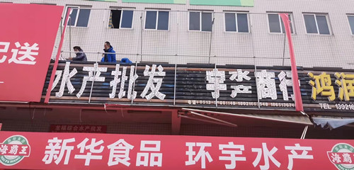 必一运动bsport体育