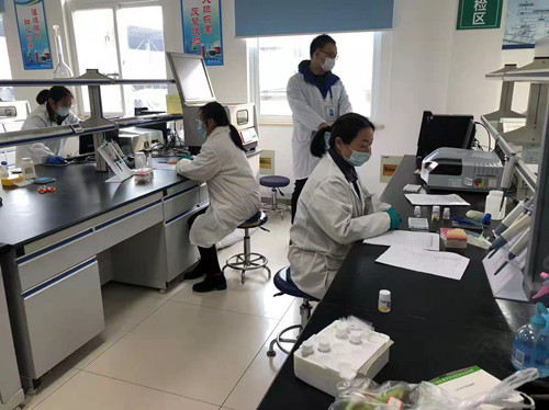 必一运动bsport体育