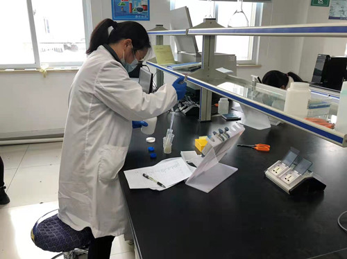 必一运动bsport体育