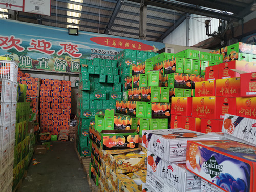 必一运动bsport体育