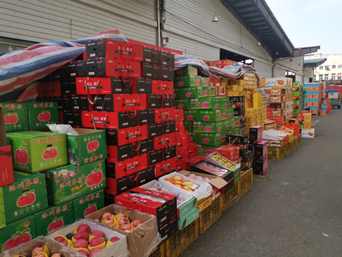 必一运动bsport体育